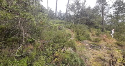 Vidauban Terrain à bâtir - 2137516-10295annonce120250422kEvJZ.jpeg Maisons Open