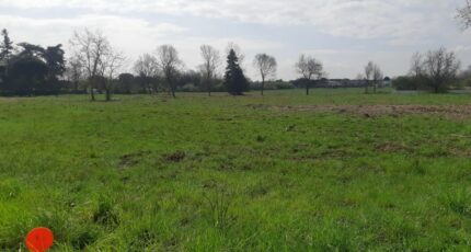 Gémil Terrain à bâtir - 2136143-5202annonce320250418hRRzA.jpeg Maisons Open