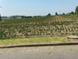  2138532-6159annonce220250423l2ybA.jpeg Maisons Open