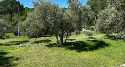 Lorgues Terrain à bâtir - 2139615-3951annonce120250424I8uSP.jpeg Maisons Open