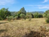  2141262-10746annonce120250425GEpqi.jpeg Maisons Open