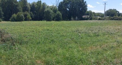 Saint-Julien-sur-Garonne Terrain à bâtir - 2141372-10326annonce220250425PG9KC.jpeg Maisons Open
