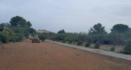 Brignoles Terrain à bâtir - 2143205-10295annonce120241213WJ5dd.jpeg Maisons Open