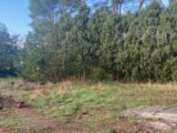  2113479-4866annonce120250321h8hRo.jpeg Maisons Open