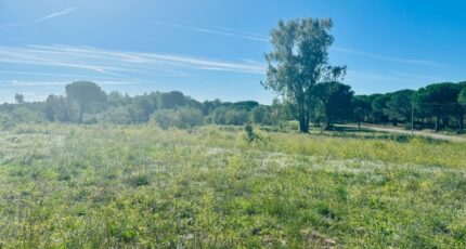 Puget-sur-Argens Terrain à bâtir - 2147931-3701annonce1202505030AaIw.jpeg Maisons Open