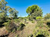  2147931-3701annonce220250503ptmaM.jpeg Maisons Open