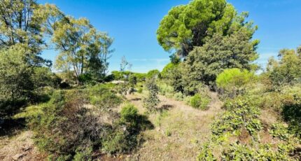 Puget-sur-Argens Terrain à bâtir - 2147931-3701annonce220250503ptmaM.jpeg Maisons Open