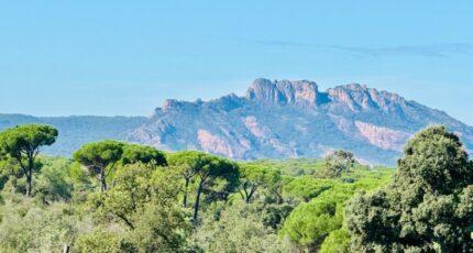 Puget-sur-Argens Terrain à bâtir - 2147931-3701annonce320250503zshnA.jpeg Maisons Open