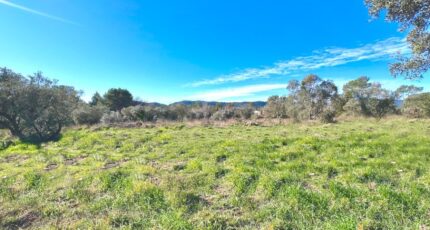 Puget-sur-Argens Terrain à bâtir - 2097544-6013annonce120250305Kpem1.jpeg Maisons Open