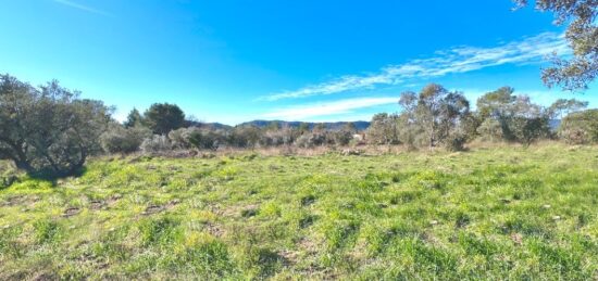 Terrain à bâtir à Puget-sur-Argens, Provence-Alpes-Côte d'Azur