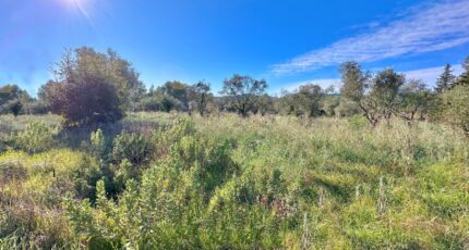 Puget-sur-Argens Terrain à bâtir - 2097544-6013annonce220250305GnTQ7.jpeg Maisons Open