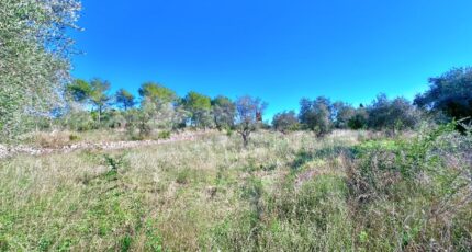 Puget-sur-Argens Terrain à bâtir - 2097544-6013annonce320250305RMbA1.jpeg Maisons Open