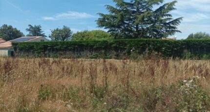 Sérigné Terrain à bâtir - 2149357-10941annonce1202409233T0bB.jpeg Maisons Open