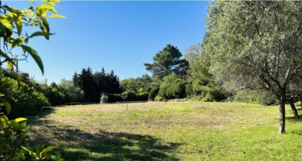 Mougins Terrain à bâtir - 2149482-9270annonce120250113i6U1Z.jpeg Maisons Open