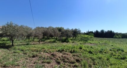 Puget-sur-Argens Terrain à bâtir - 2150135-9911annonce220250506aOI1H.jpeg Maisons Open