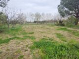  2128951-11178annonce120250409pVMPu.jpeg Maisons Open