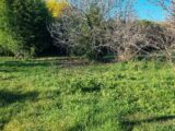  2128928-10326annonce220250409r3Lih.jpeg Maisons Open