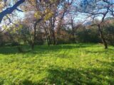  2152498-11136annonce120250509LA2hi.jpeg Maisons Open