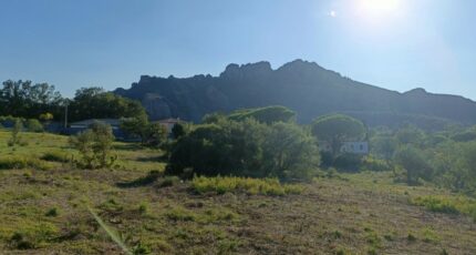 Roquebrune-sur-Argens Terrain à bâtir - 2154725-9911annonce120250512CedRM.jpeg Maisons Open