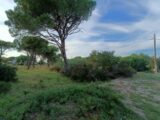  2154854-9911annonce220250512O3v2U.jpeg Maisons Open