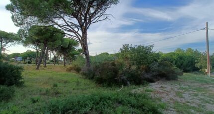 Puget-sur-Argens Terrain à bâtir - 2154854-9911annonce220250512O3v2U.jpeg Maisons Open
