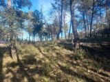  2155275-11137annonce120250116d2552.jpeg Maisons Open