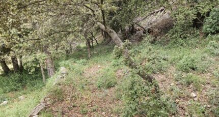Bagnols-en-Forêt Terrain à bâtir - 2135671-5163annonce3202504178UVBJ.jpeg Maisons Open