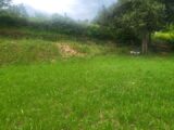  2161703-10746annonce120250519IroAb.jpeg Maisons Open