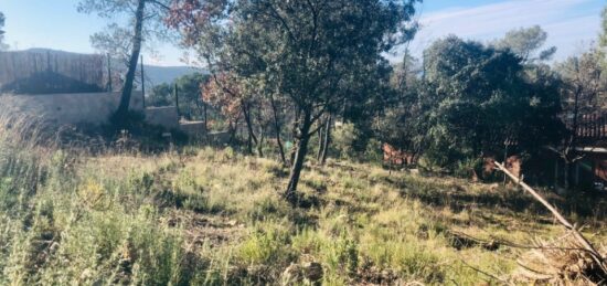 Terrain à bâtir à Rocbaron, Provence-Alpes-Côte d'Azur