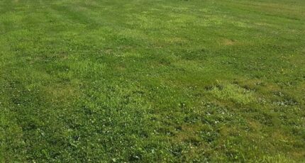 Sainte-Opportune Terrain à bâtir - 2163983-1153annonce120250520QXRCe.jpeg Maisons Open