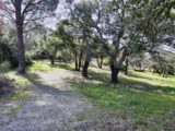  2163991-11039annonce220250520iOi7M.jpeg Maisons Open