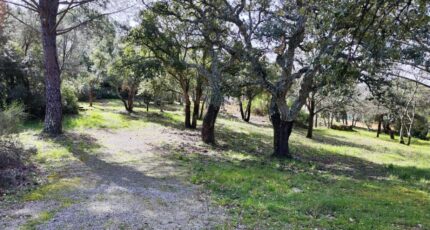 Vidauban Terrain à bâtir - 2163991-11039annonce220250520iOi7M.jpeg Maisons Open