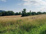  2165624-3133annonce2202505225tfxF.jpeg Maisons Open