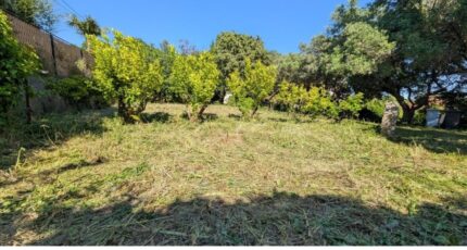 Fréjus Terrain à bâtir - 2168479-3951annonce220250523xiXVX.jpeg Maisons Open