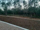  2169770-10152annonce1202501279y1gn.jpeg Maisons Open