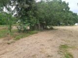  2168618-5202annonce3202505237r6Mq.jpeg Maisons Open