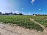  2171328-3362annonce120250527mNQbP.jpeg Maisons Open