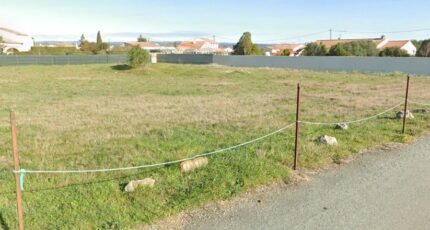 Saint-Nazaire-d'Aude Terrain à bâtir - 2181760-3971annonce120240617VcZuW.jpeg Maisons Open
