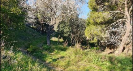 Narbonne Terrain à bâtir - 2181762-3971annonce120240226eAUi2.jpeg Maisons Open