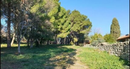 Narbonne Terrain à bâtir - 2181762-3971annonce220240226cldbs.jpeg Maisons Open