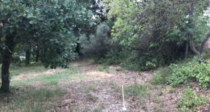 Balaruc-les-Bains Terrain à bâtir - 2186860-10245annonce120250611ODDhF.jpeg Maisons Open