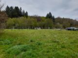  2119500-10865annonce4202503270ds9y.jpeg Maisons Open