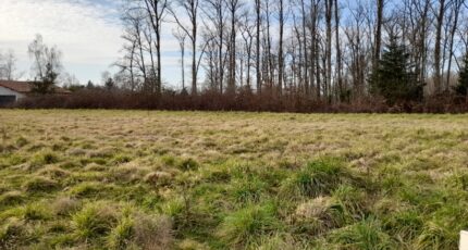 Feytiat Terrain à bâtir - 2114464-10865annonce1202503213QwTx.jpeg Maisons Open