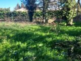  2191973-695annonce120250613dzmi3.jpeg Maisons Open