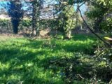  2191973-695annonce320250613FA3Us.jpeg Maisons Open