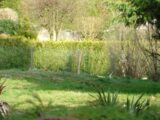  2191971-4353annonce120250613IU1J2.jpeg Maisons Open