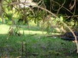  2191971-4353annonce220250613TFm76.jpeg Maisons Open