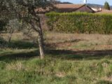  2147400-9917annonce220250110BIVHP.jpeg Maisons Open