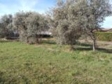  2147407-9917annonce120250110Z1KHS.jpeg Maisons Open