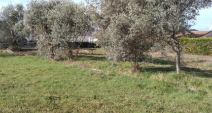 Oraison Terrain à bâtir - 2147407-9917annonce120250110Z1KHS.jpeg Maisons Open